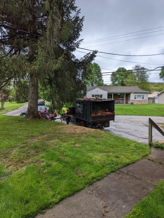 Newleaf Tree Service work photo